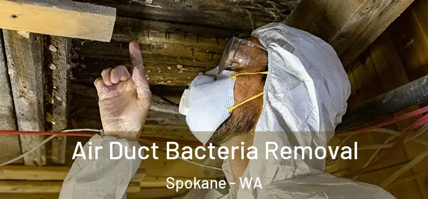 Air Duct Bacteria Removal Spokane - WA