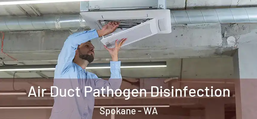 Air Duct Pathogen Disinfection Spokane - WA