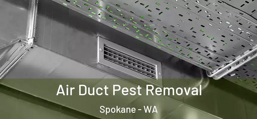 Air Duct Pest Removal Spokane - WA