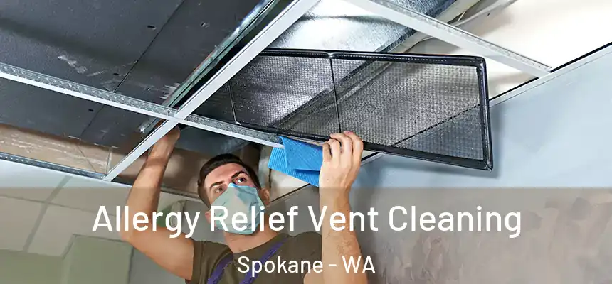 Allergy Relief Vent Cleaning Spokane - WA