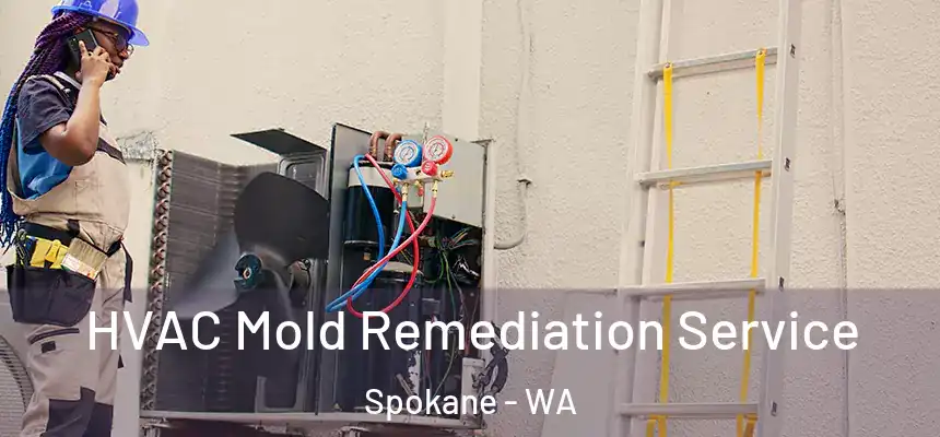  HVAC Mold Remediation Service Spokane - WA