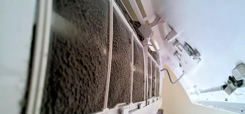 Preventive Air Duct Bacteria Removal in Spokane