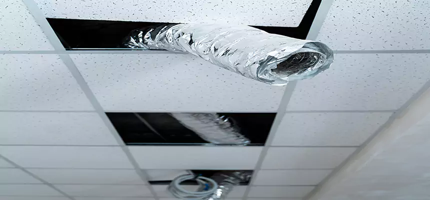 Affordable HVAC Sanitizing After Pest Removal in Spokane