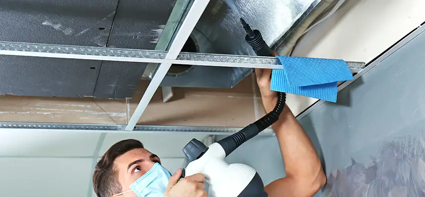 Our Air Duct Rodent Removal Services in Spokane, WA