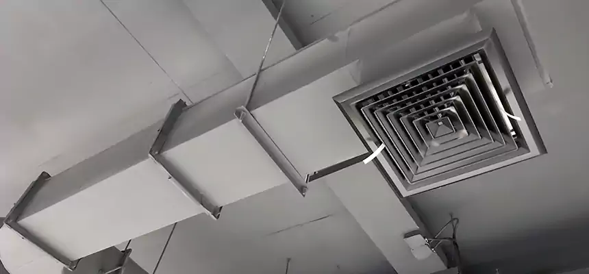 Our Pest Removal From Ducts Services in Spokane, WA