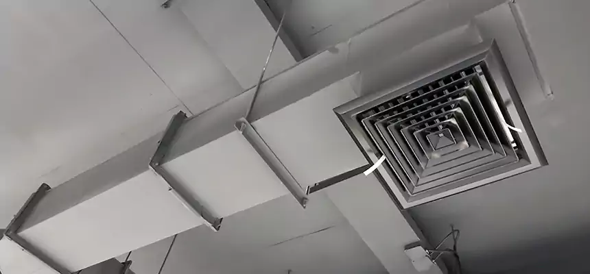 Our Rodent Droppings In Vents Services in Spokane, WA