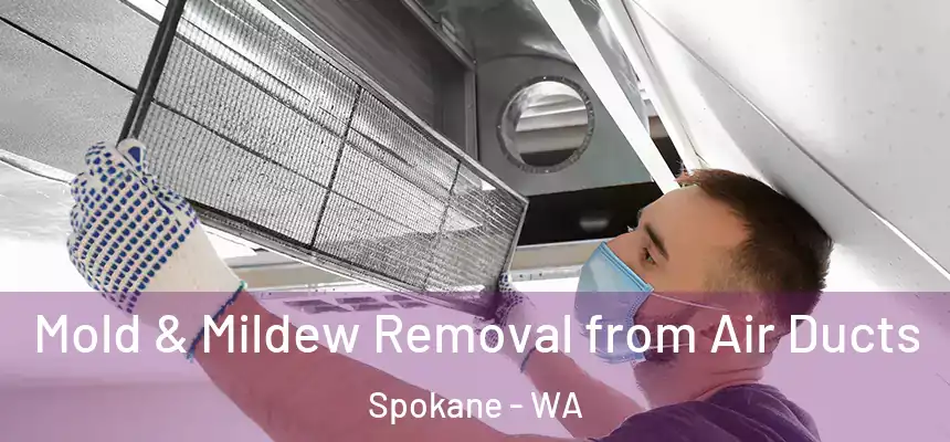 Mold & Mildew Removal from Air Ducts Spokane - WA