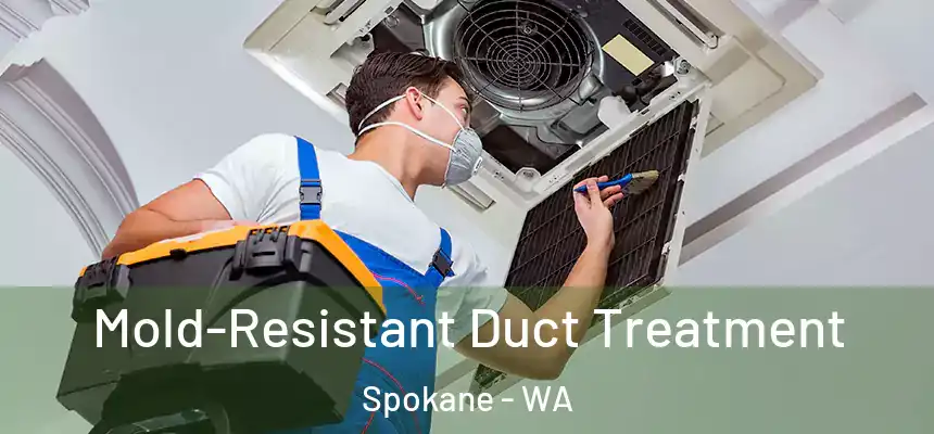 Mold-Resistant Duct Treatment Spokane - WA
