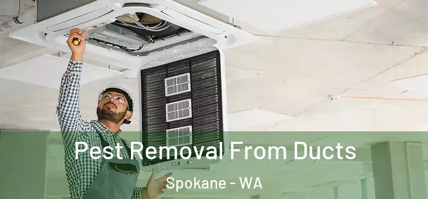Pest Removal From Ducts Spokane - WA