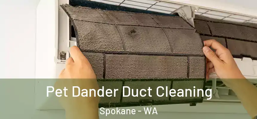 Pet Dander Duct Cleaning Spokane - WA