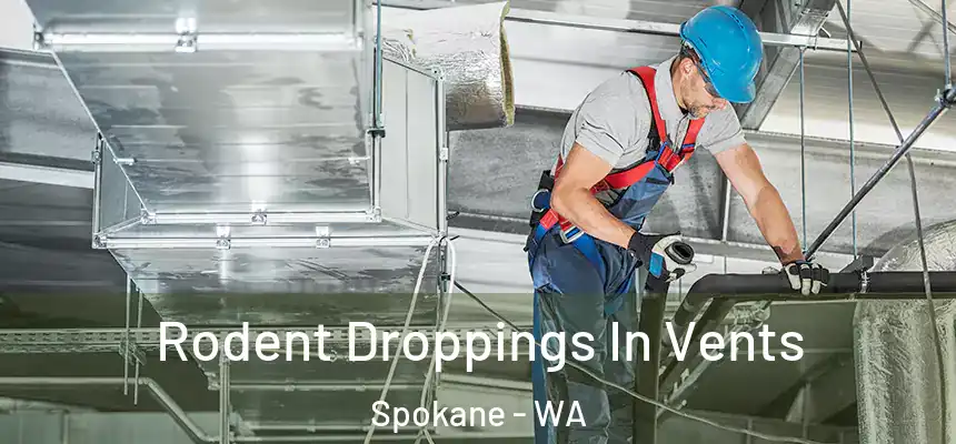 Rodent Droppings In Vents Spokane - WA