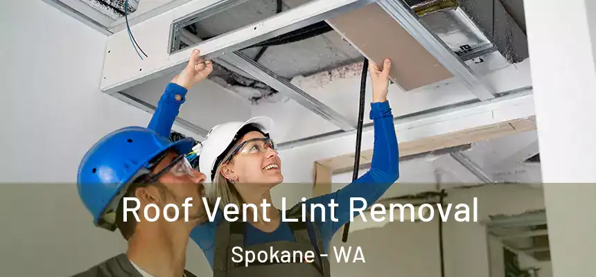 Roof Vent Lint Removal Spokane - WA