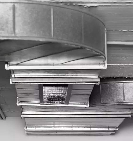 Professional Air Duct Pet Hair Removal in Spokane, WA