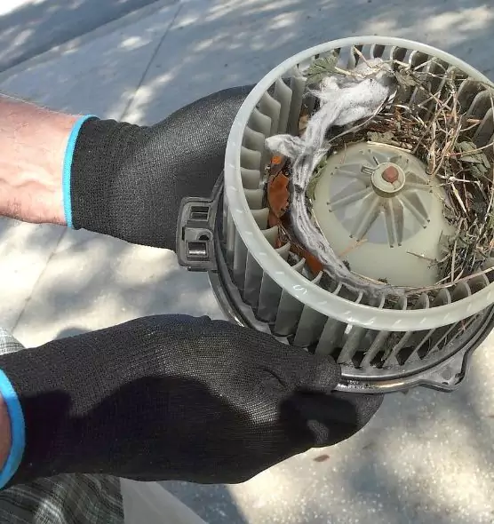 About Air Duct Rat Removal in Spokane, WA