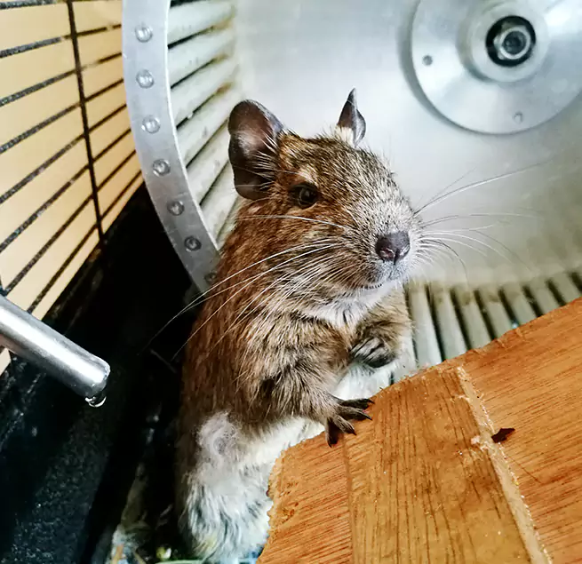 Why Homeowners & Businesses Trust Us Spokane, WA